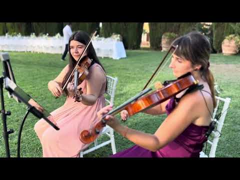 Francesca Violin - Wildest Dreams, Taylor Swift; string duo - Wedding Violinist in Italy