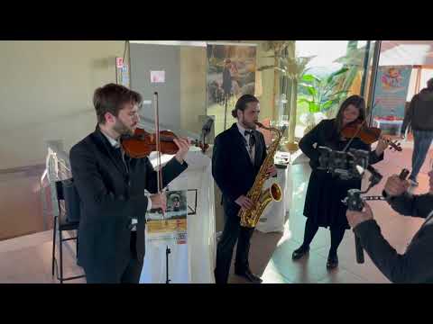 Francesca Violin - &quot;Can&#039;t help falling in love&quot;, violins and saxophone - Wedding Violinist in Italy