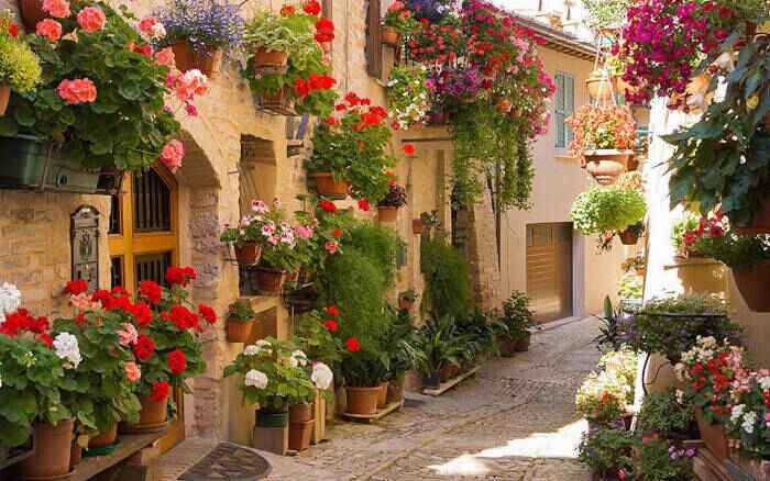 Best Wedding Bands in Umbria, Italy